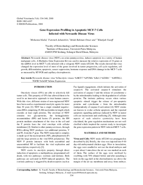 (PDF) Gene Expression Profiling in Apoptotic MCF-7 Cells Infected with ...