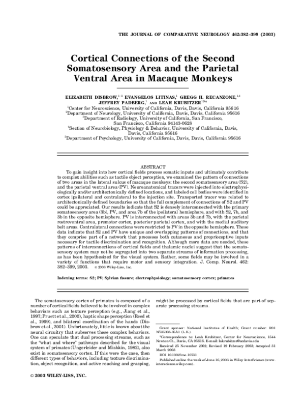 (PDF) Cortical connections of the second somatosensory area and the ...