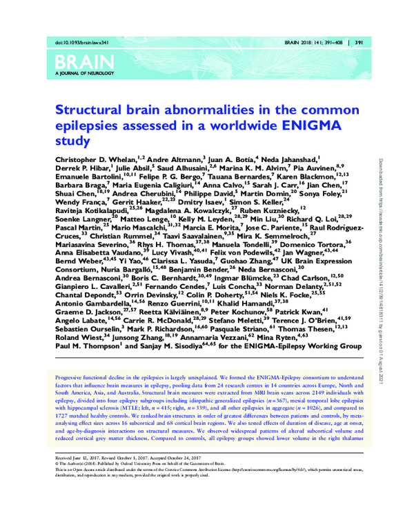(PDF) Structural brain abnormalities in the common epilepsies assessed ...
