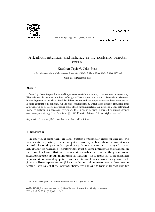 (PDF) Attention, intention and salience in the posterior parietal cortex