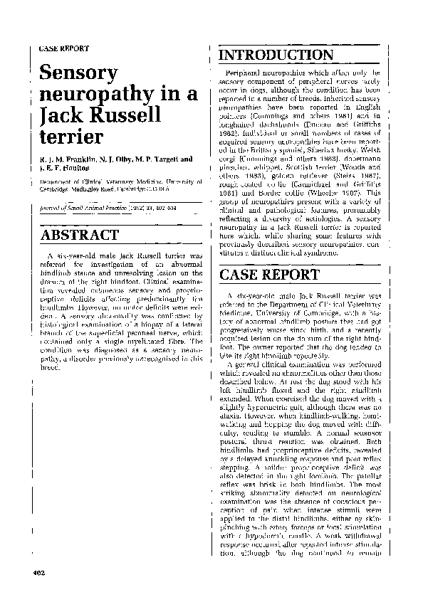 Sensory neuropathy in a Jack Russell terrier