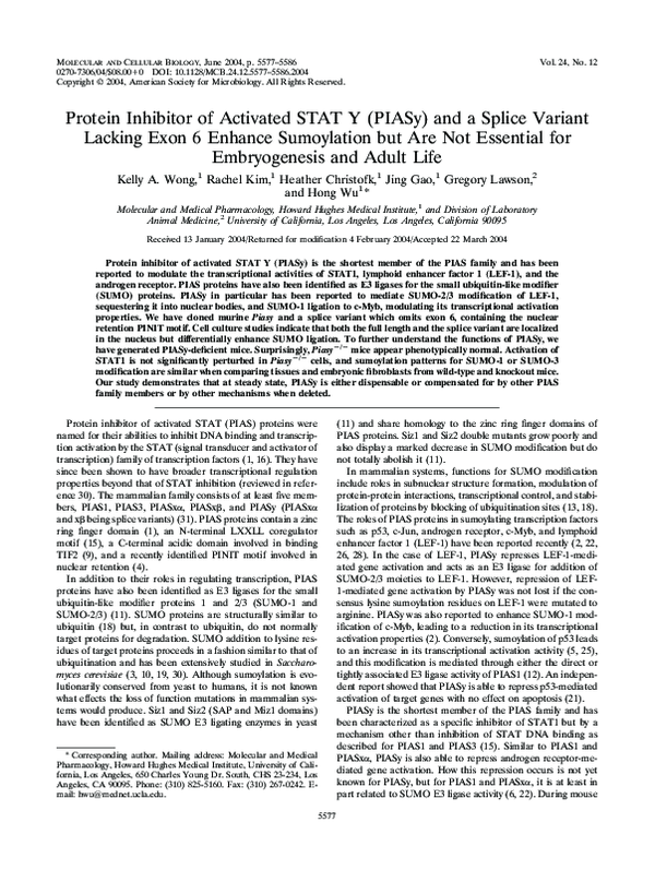 (PDF) Protein Inhibitor of Activated STAT Y (PIASy) and a Splice ...
