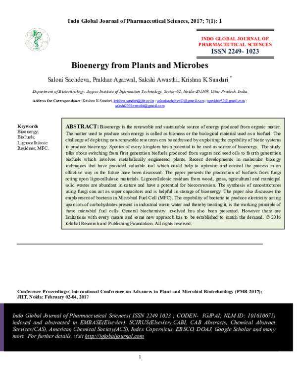 (PDF) Bioenergy from Plants and Microbes