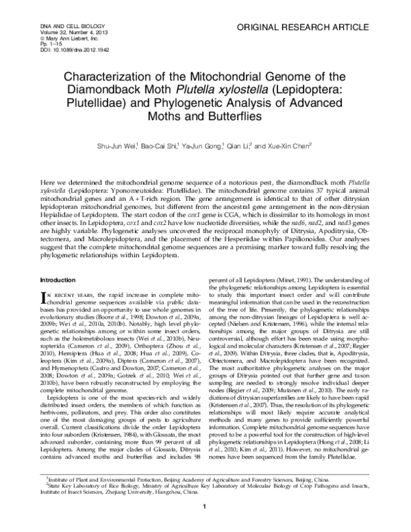 (PDF) Characterization of the Mitochondrial Genome of the Diamondback ...
