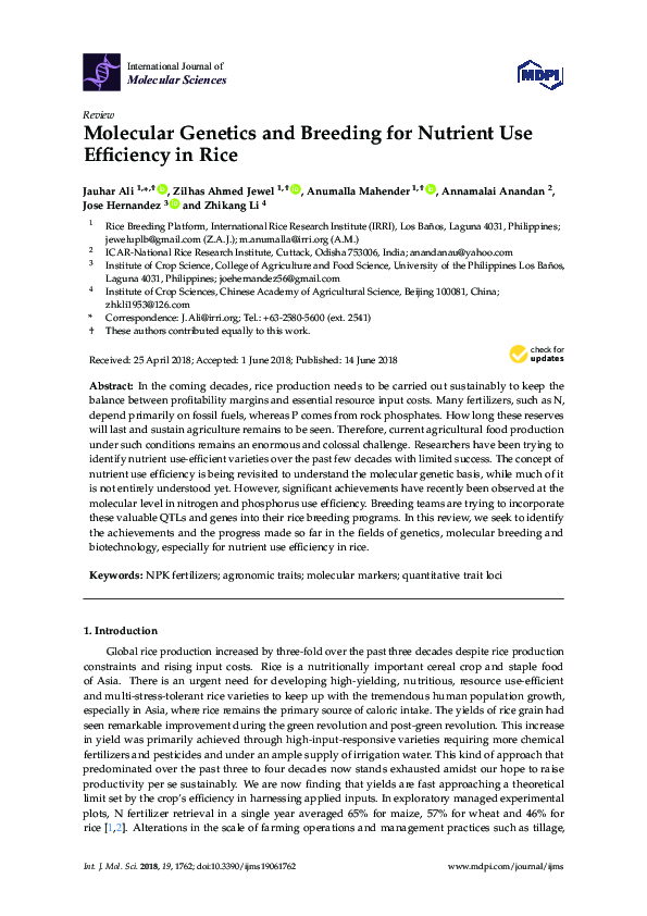 (PDF) Molecular Genetics and Breeding for Nutrient Use Efficiency in Rice