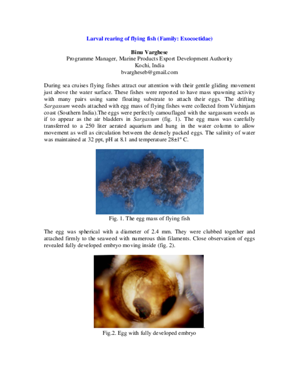 (PDF) Larval rearing of flying fish (Family: Exocoetidae)