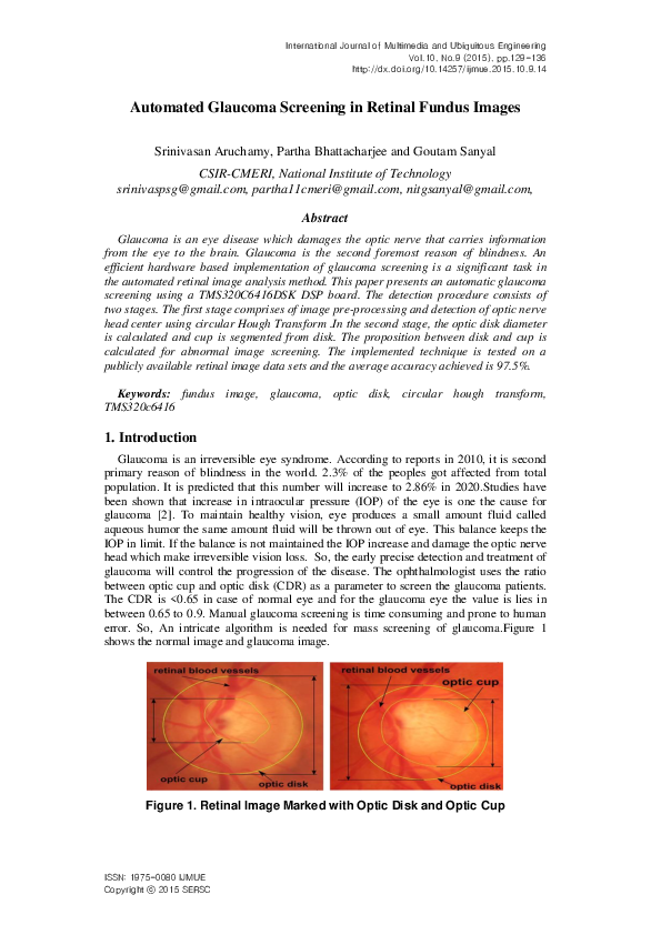 (PDF) Automated Glaucoma Screening in Retinal Fundus Images
