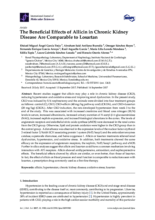 (PDF) The Beneficial Effects of Allicin in Chronic Kidney Disease Are ...