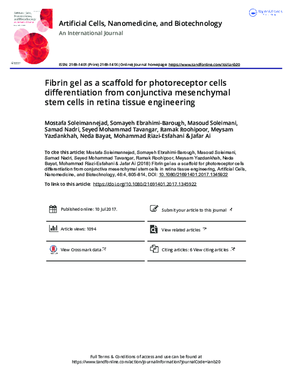 (PDF) Fibrin gel as a scaffold for photoreceptor cells differentiation ...
