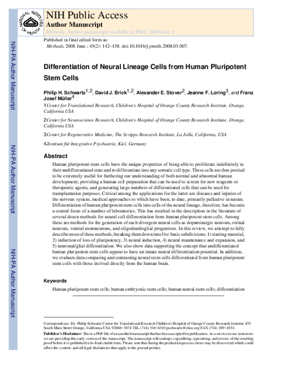 (PDF) Differentiation of neural lineage cells from human pluripotent ...