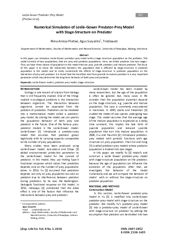 Cyber predator essay 08 picture