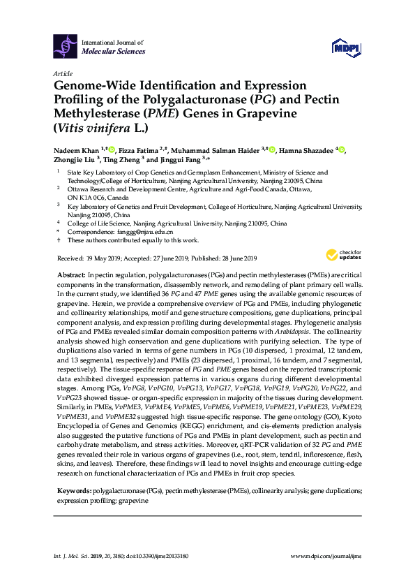 (PDF) Genome-Wide Identification and Expression Profiling of the ...