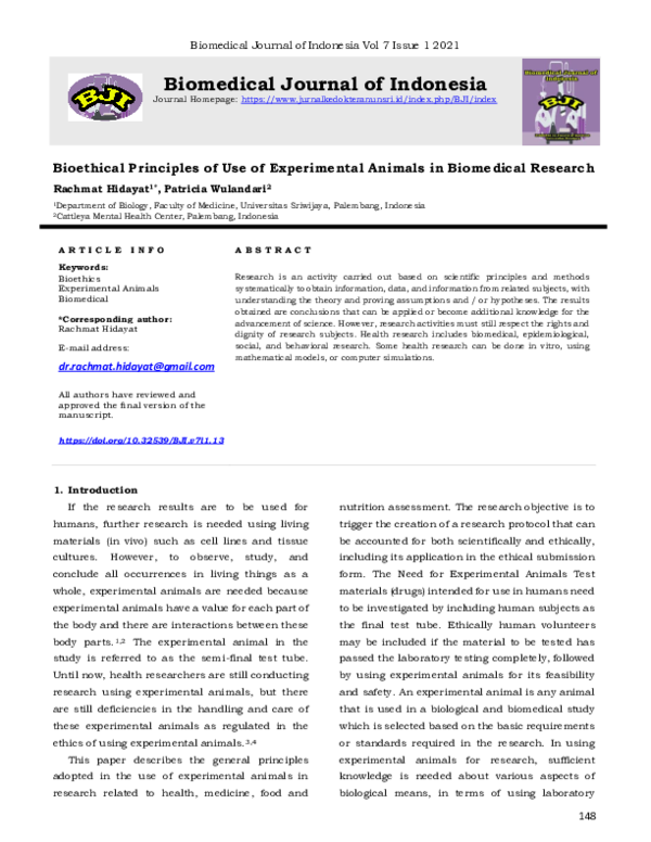 Bioethical principle justice picture