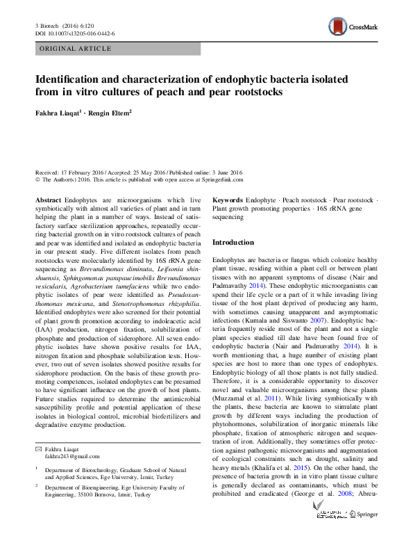 (PDF) Identification and characterization of endophytic bacteria ...