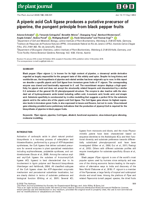 (PDF) A piperic acid CoA ligase produces a putative precursor of ...
