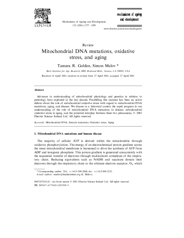 (PDF) Mitochondrial DNA mutations, oxidative stress, and aging