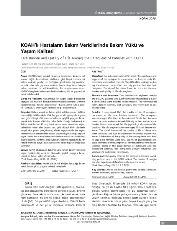(PDF) Care Burden and Quality of Life Among the Caregivers of Patients ...