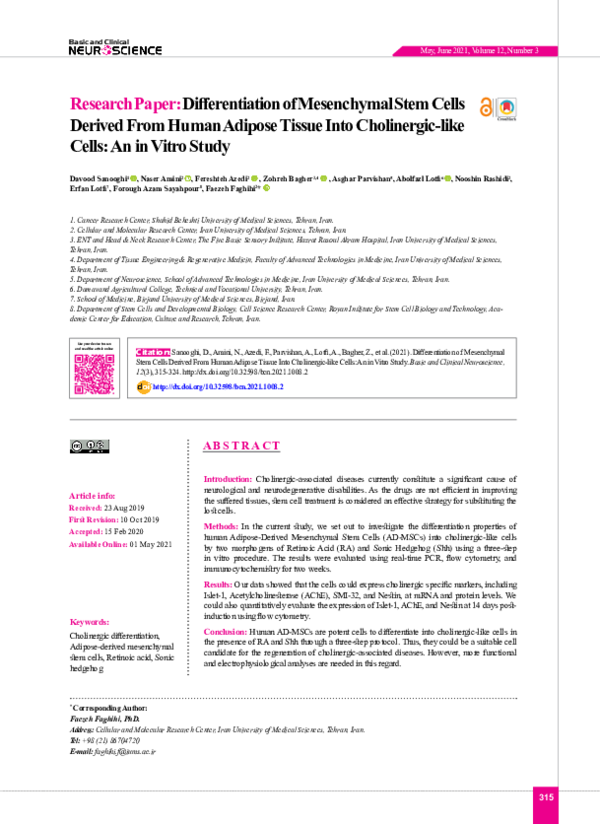 (PDF) Differentiation of Mesenchymal Stem Cells Derived From Human ...