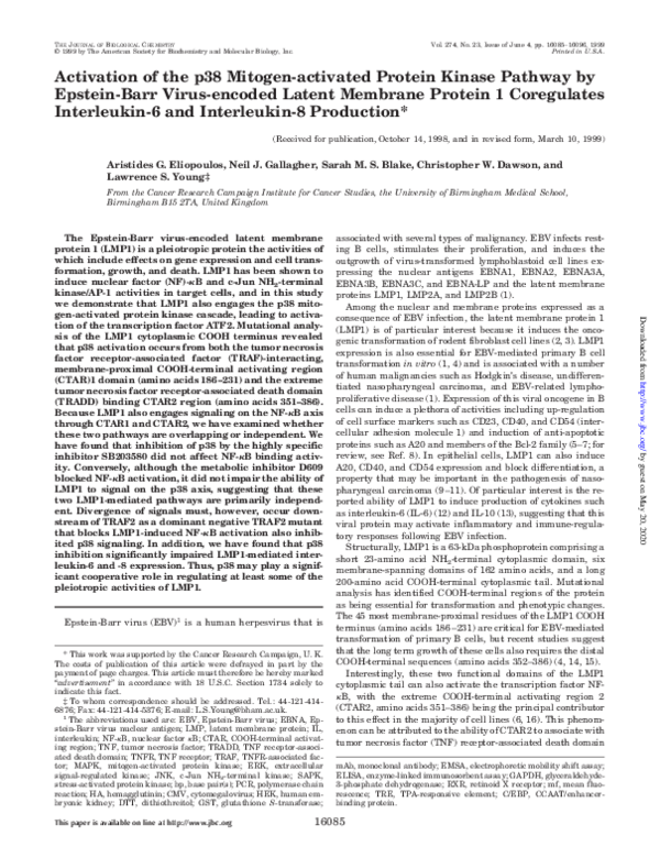 (PDF) Activation of p38 mitogen-activated protein kinase in spinal ...