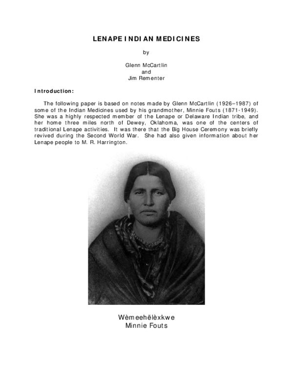 Lenape indian artifacts picture