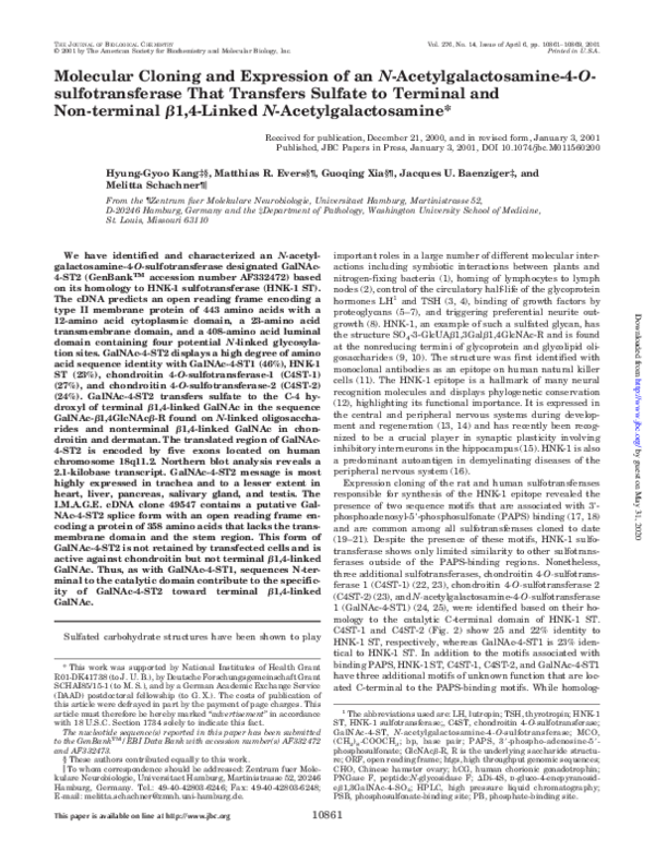 (PDF) Molecular Cloning and Expression of an N-Acetylgalactosamine-4-O ...