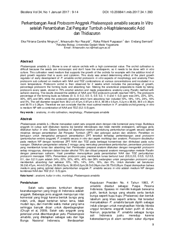 (PDF) Perkembangan Awal Protocorm Anggrek Phalaenopsis amabilis secara ...