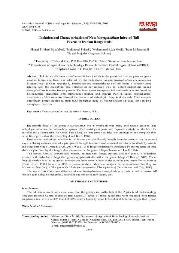 (PDF) Isolation and Characterization of New Neotyphodium Infected Tall ...