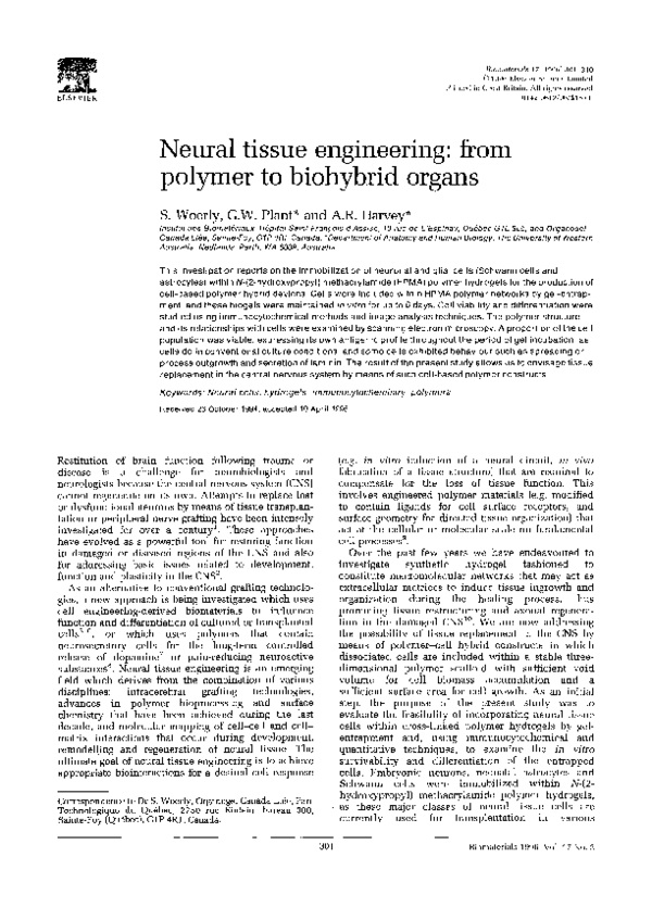 Epithelial tissue image