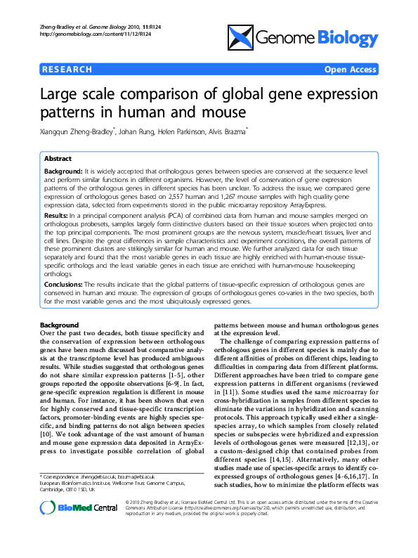 (PDF) Large scale comparison of global gene expression patterns in ...
