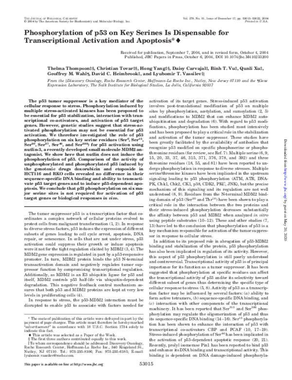 (PDF) Phosphorylation of p53 on key serines is dispensable for ...