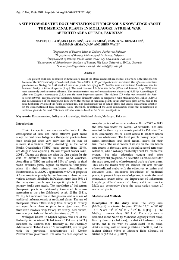 Tribal warfare essay image