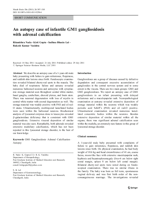 Gangliosidoses essay 03 picture