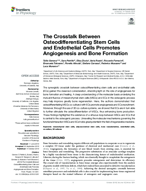 (PDF) The Crosstalk Between Osteodifferentiating Stem Cells and ...