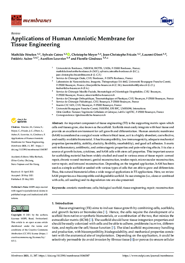 (PDF) Applications of Human Amniotic Membrane for Tissue Engineering