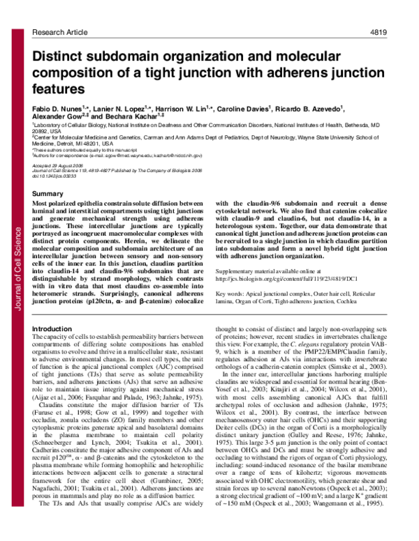 (PDF) Distinct subdomain organization and molecular composition of a tight junction with