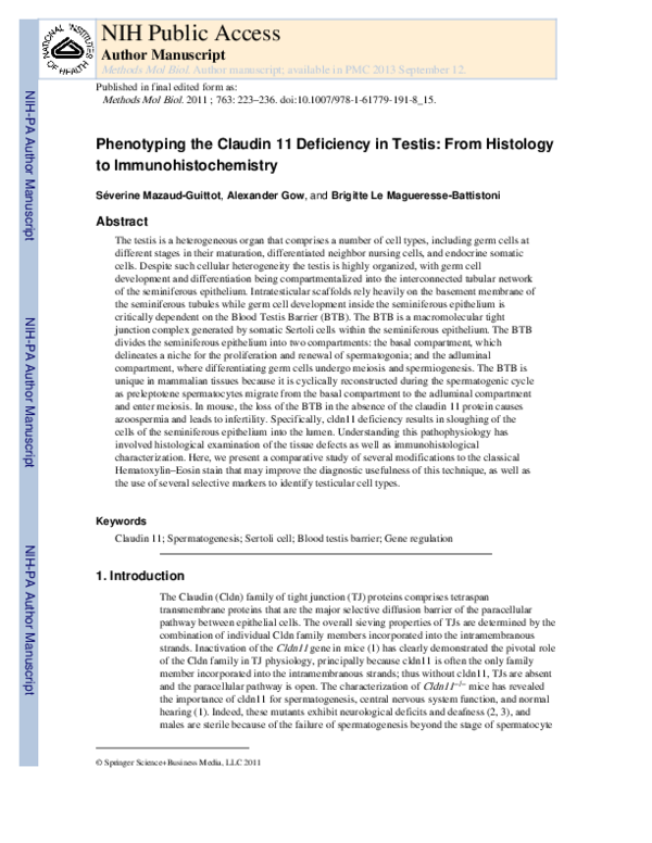 (PDF) Phenotyping the claudin 11 deficiency in testis: from histology ...