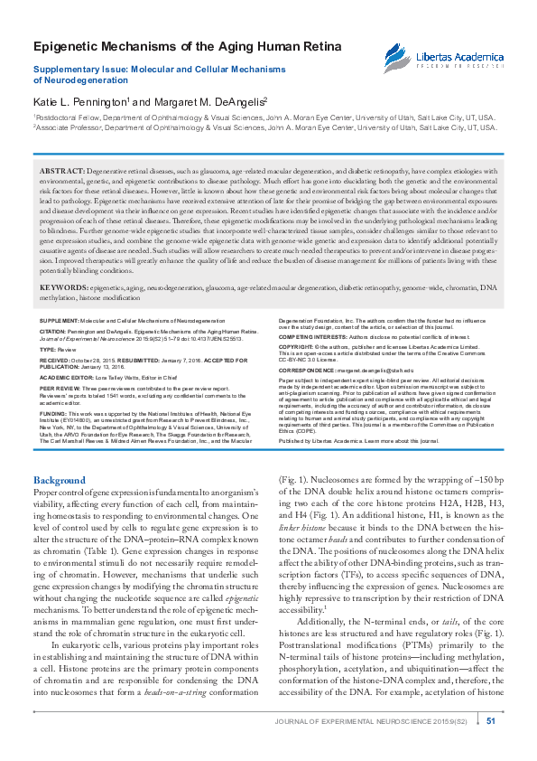 (PDF) Epigenetic Mechanisms of the Aging Human Retina