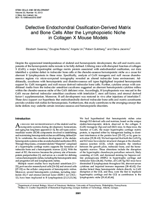Endochondral ossification essay image