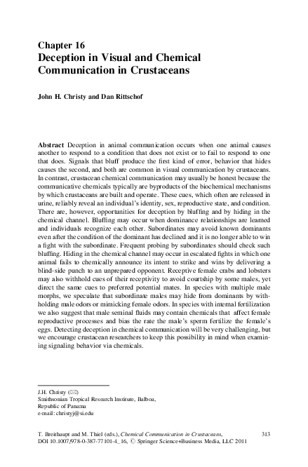 Optical illusions pictures picture