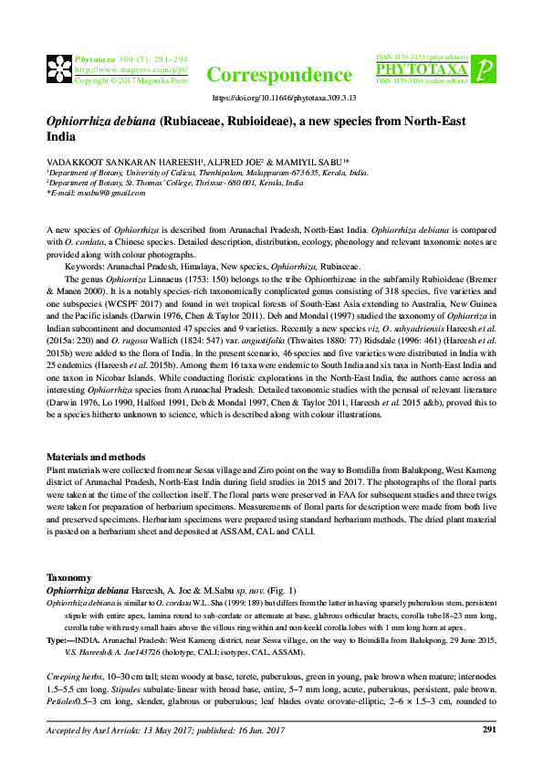 (PDF) Ophiorrhiza debiana (Rubiaceae, Rubioideae), a new species from ...
