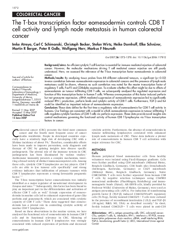 How to make essays longer image