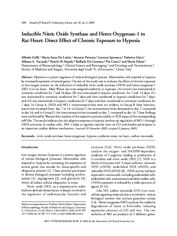 (PDF) Inducible nitric oxide synthase and heme oxygenase-1 in rat heart ...