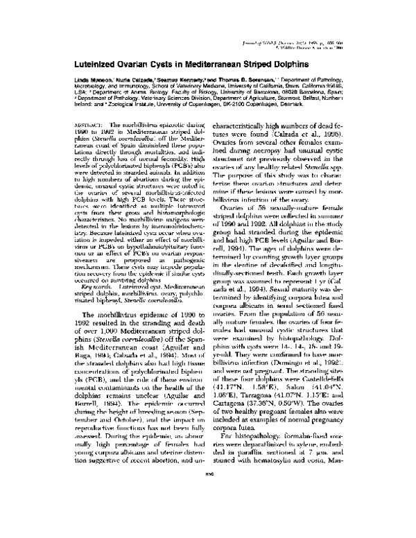 Ovarian cysts essay 08 picture