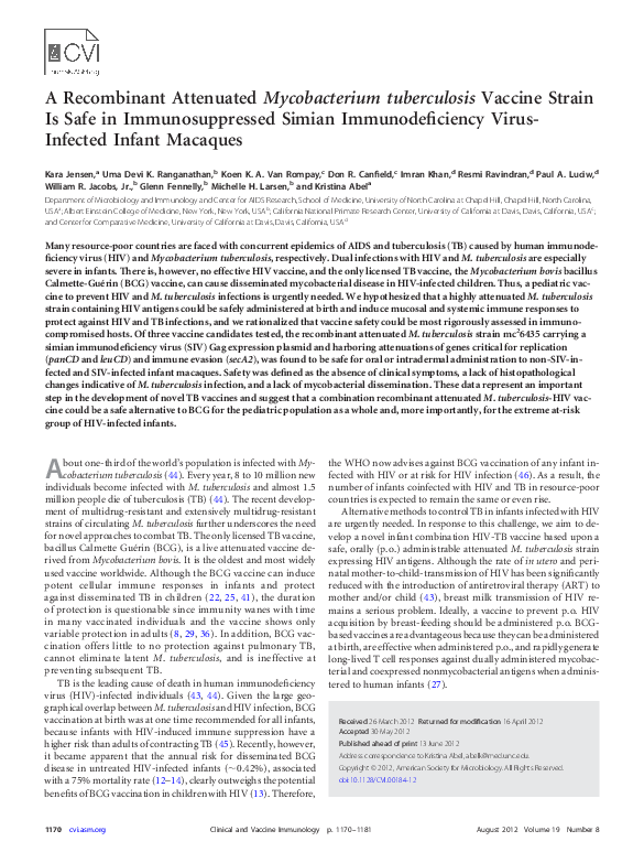 Uyghur religion image