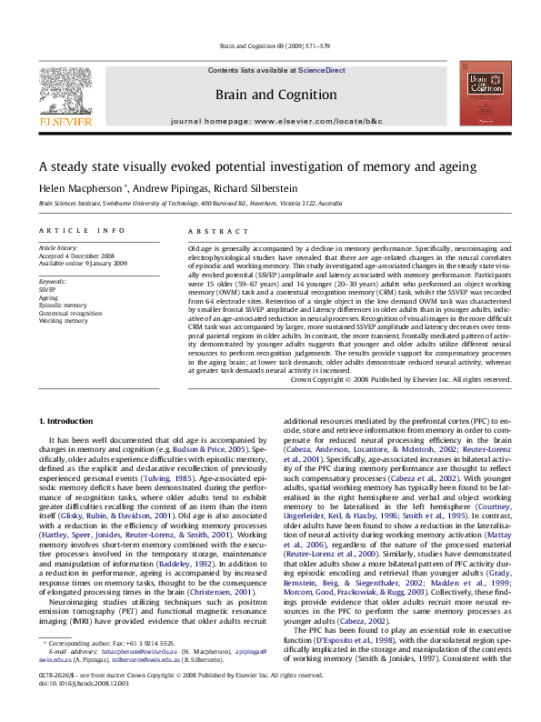 (PDF) A steady state visually evoked potential investigation of memory ...