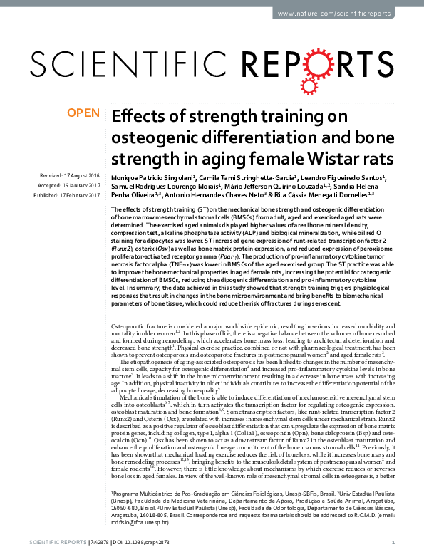 (PDF) Effects of strength training on osteogenic differentiation and ...