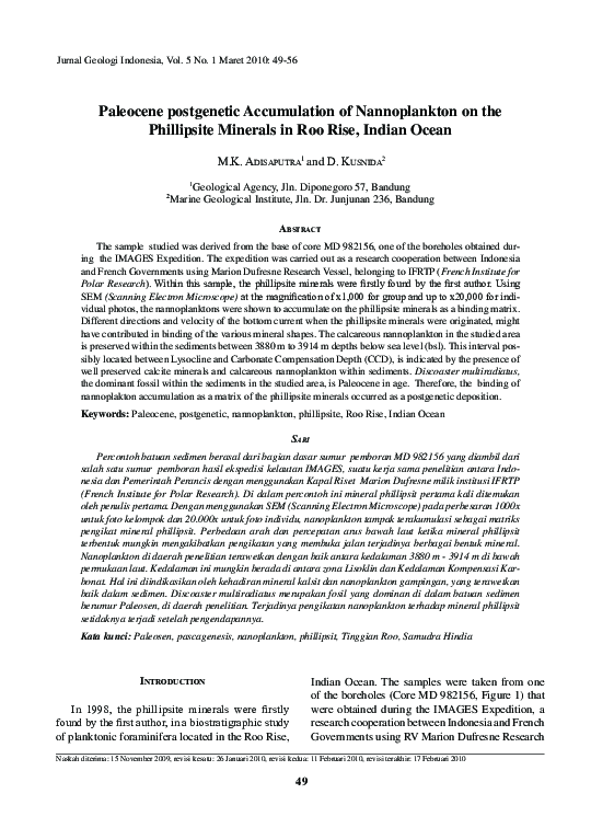 (PDF) Paleocene postgenetic Accumulation of Nannoplankton on the ...