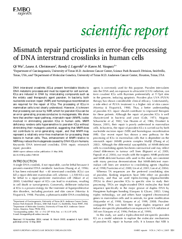 (PDF) Mismatch repair participates in error-free processing of DNA ...