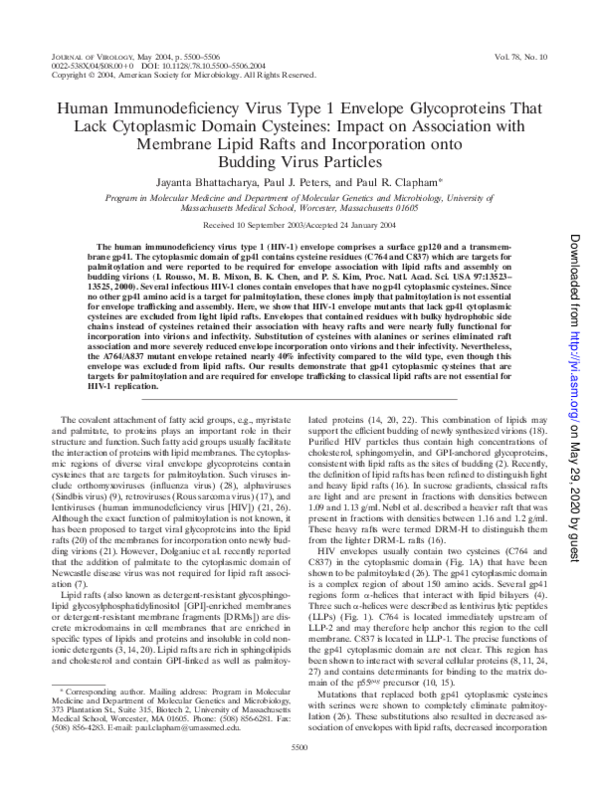 (PDF) Human Immunodeficiency Virus Type 1 Envelope Glycoproteins That ...