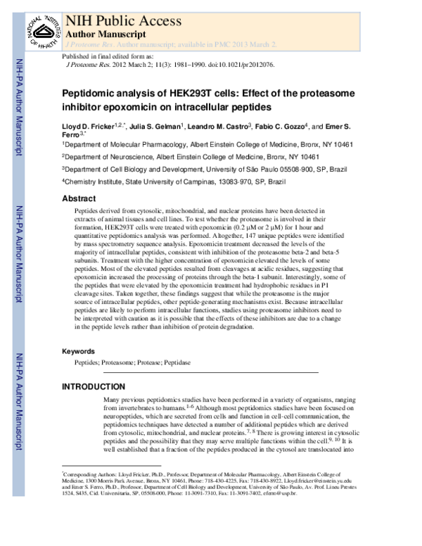 (PDF) Peptidomic Analysis of HEK293T Cells: Effect of the Proteasome ...